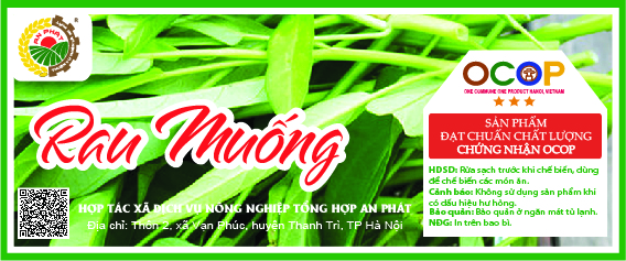 Product Info Image 1